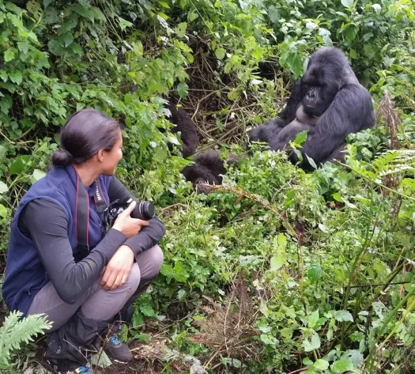 and 5072 Chimpanzees