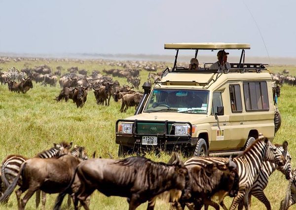  22 National Parks, 22 Game reserves, 