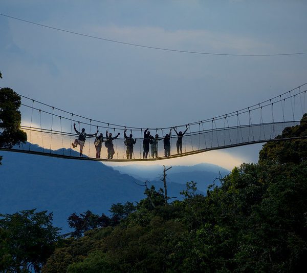 on a suspension bridge in Nyungwe.